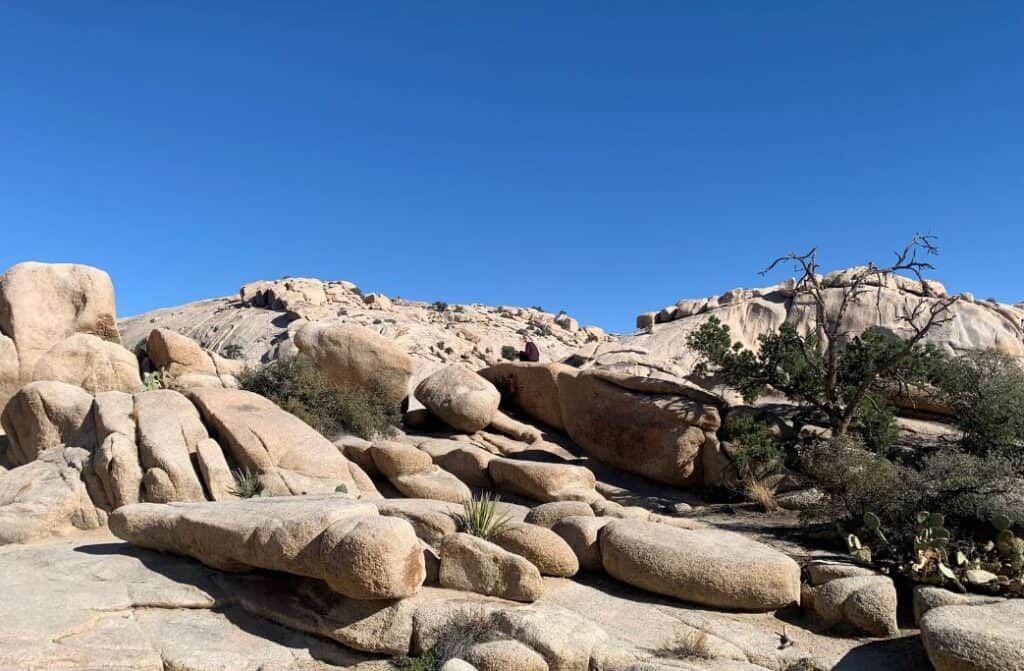 Boulders in Joshua Tree National Park on a one day itinerary.