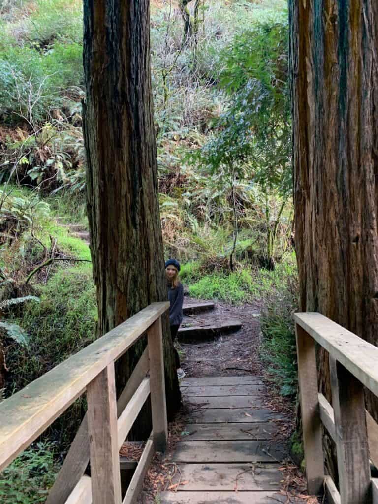 A little girl peaking from a tree behind a bridge.