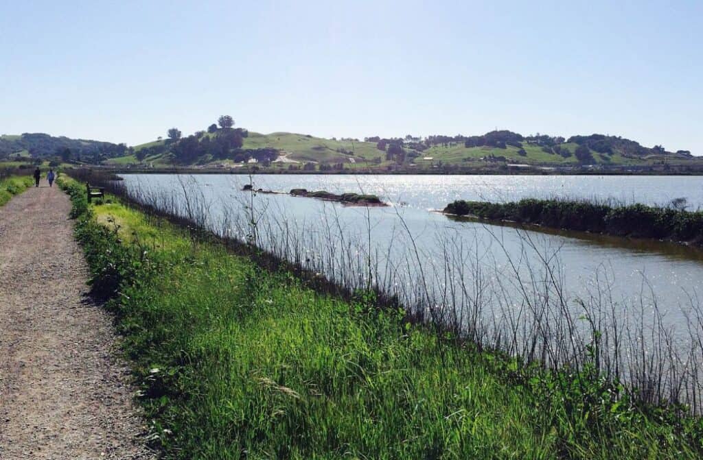 a lake with green grass and a path around in with mountains in the background.
