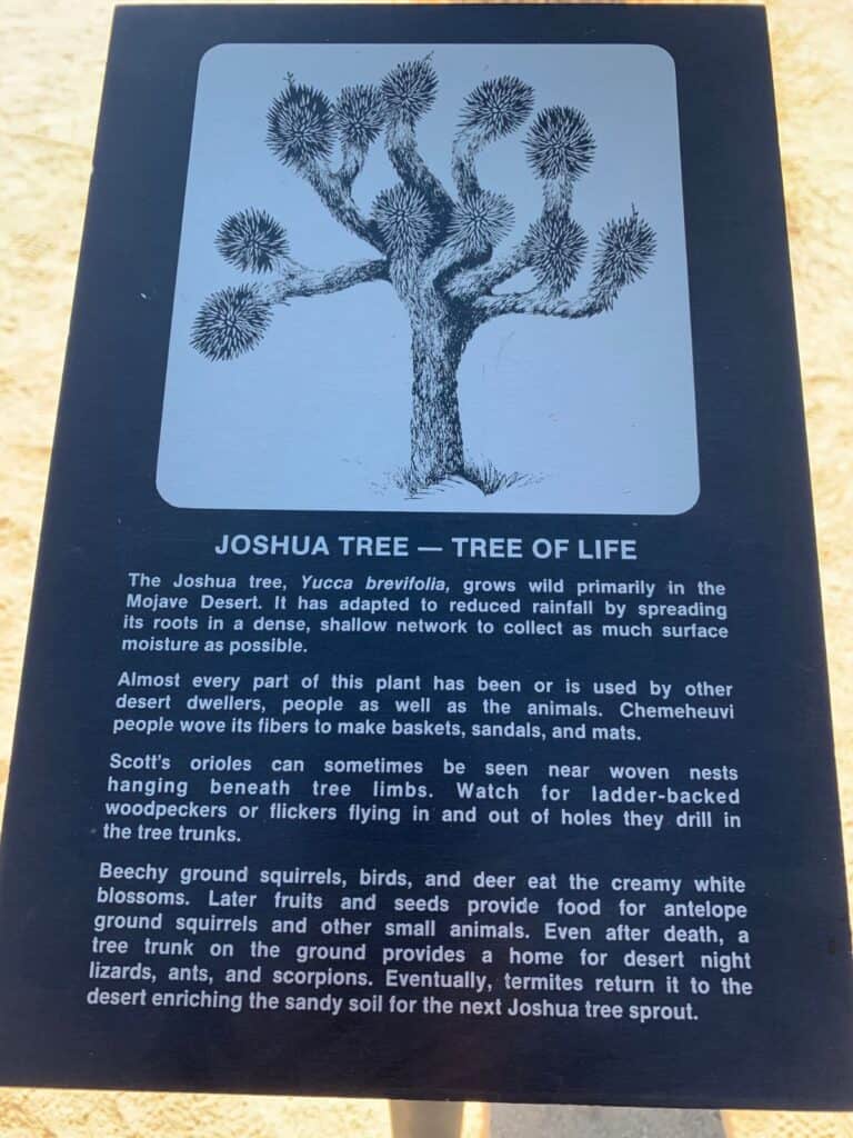 A plaque explaining the Joshua Tree.