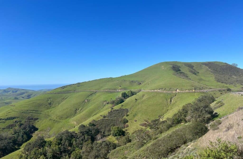 Rolling, lush green hills in Cambria, California.