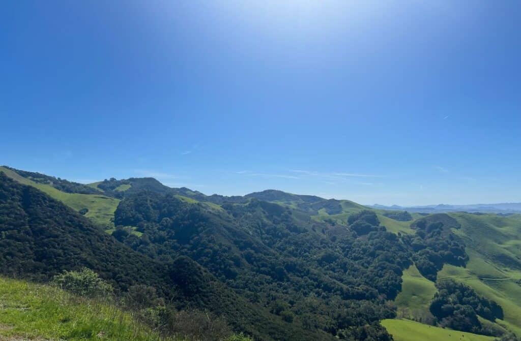 Lush green hills with the ocean in the background.