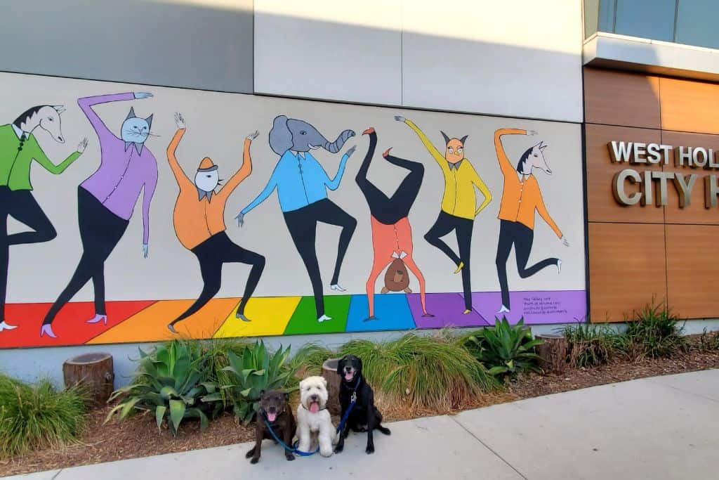 Three dogs sitting politely on the sidewalk in front of a colorful mural.