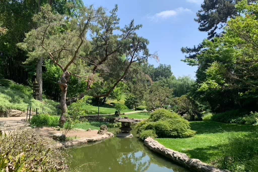 A green garden with a man-made pond through it.
