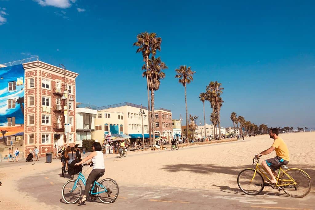 bikers on a boardwalk biking next to a beach with palm trees overhead.