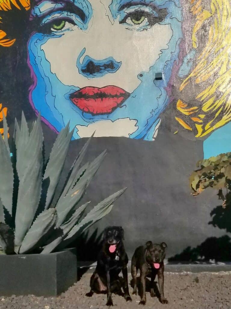 Two dogs sitting in front of a mural of Marylin Monroe