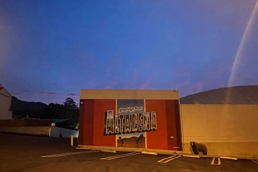 A sign on the side of a building that reads "altadena"