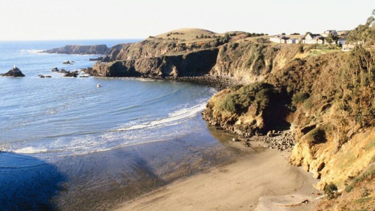 7 Best Bodega Bay Hikes by a Local