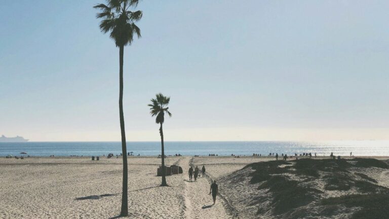 Things to Do in Ocean Beach San Diego in 2025