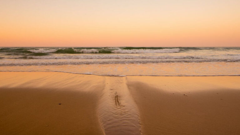 29 Fun Things to Do in Mission Beach San Diego