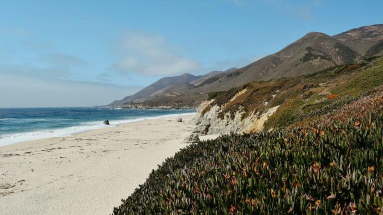 27 Things to Do in Bodega Bay + Travel Guide